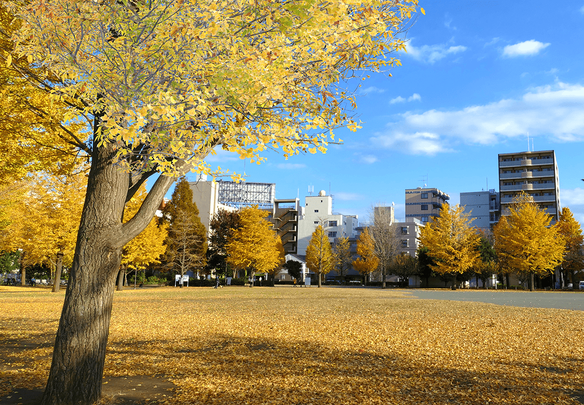 蒔田公園