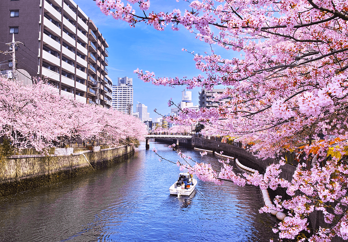 大岡川