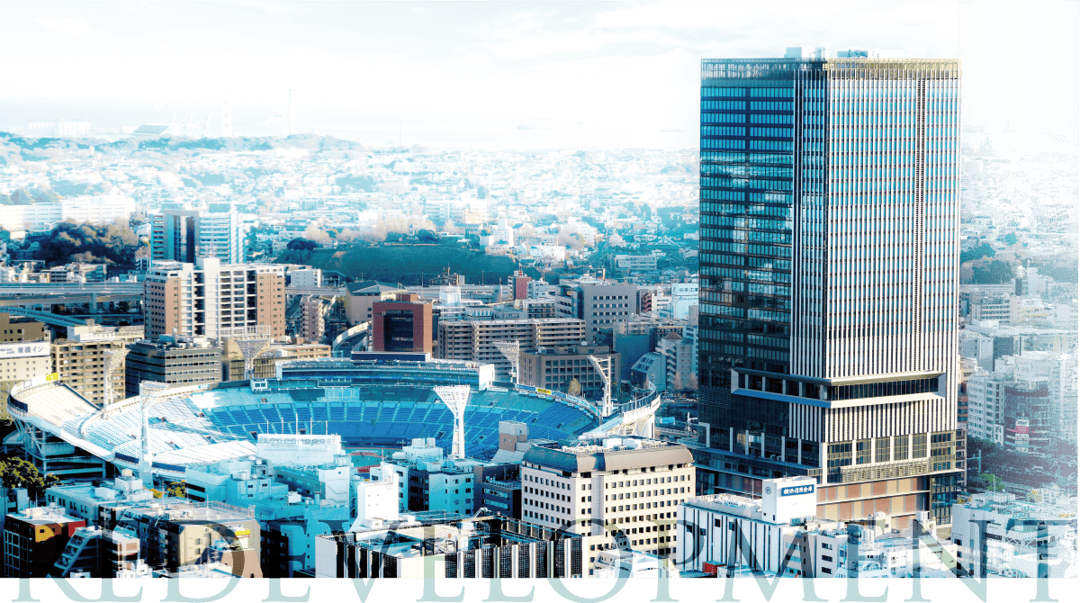 REDEVELLOPMENT