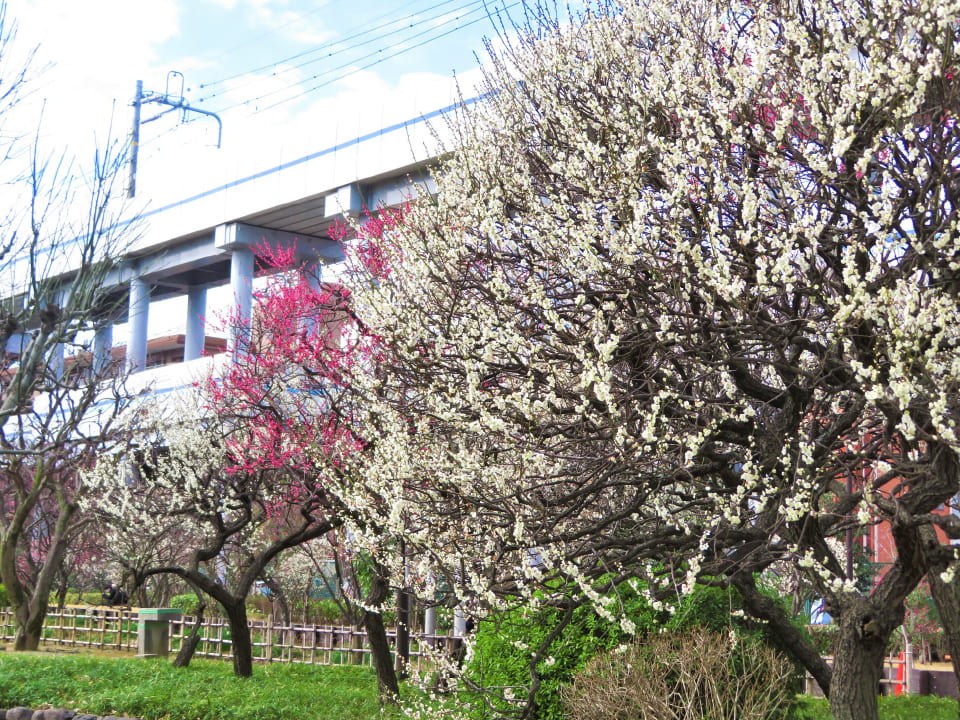 聖跡蒲田梅屋敷公園