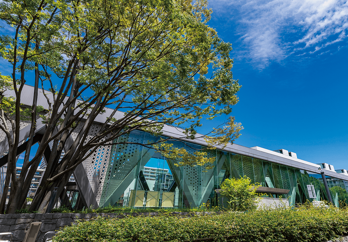 東京都現代美術館