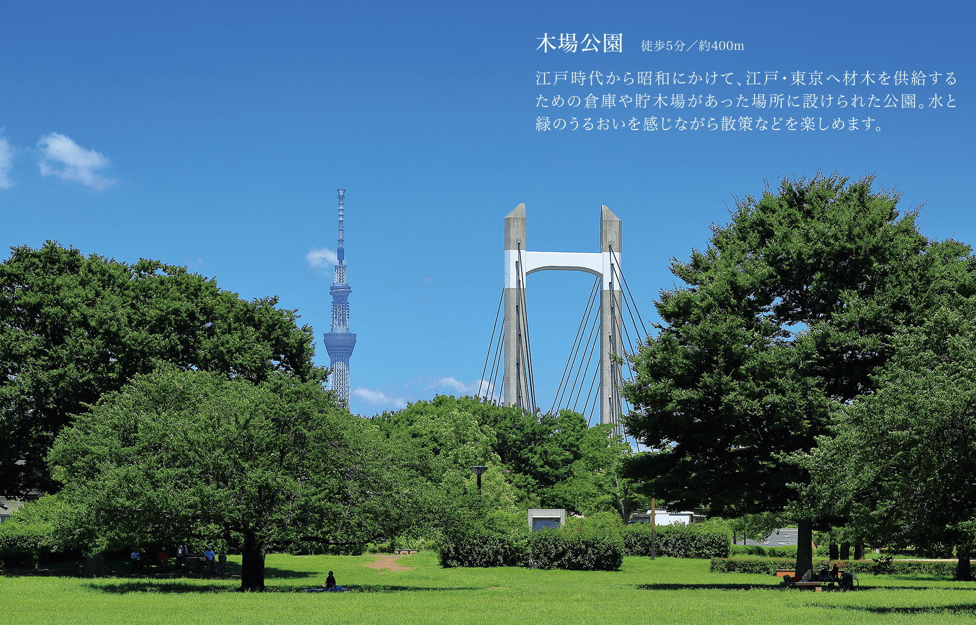 木場公園