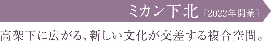 ミカン下北