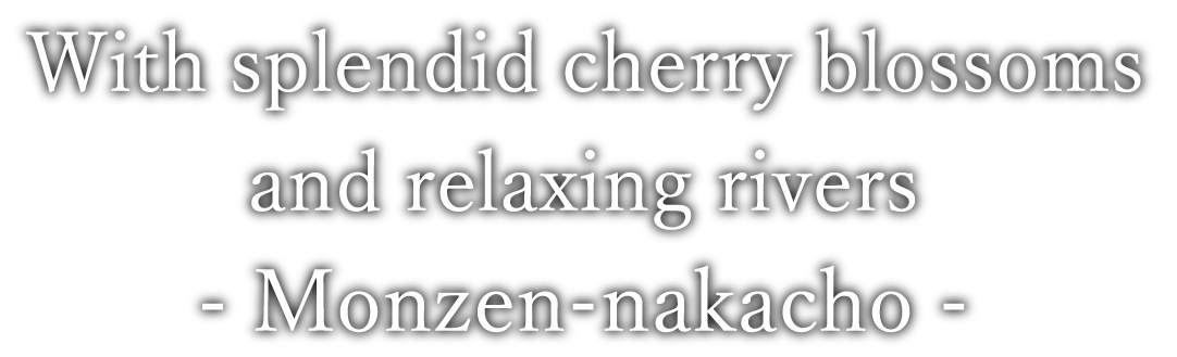 With splendid cherry blossoms and relaxing rivers - Monzen-nakacho - With splendid cherry blossoms and relaxing rivers - Monzen-nakacho -