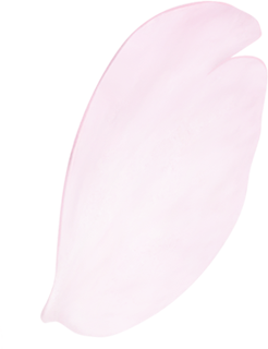 桜の花びら