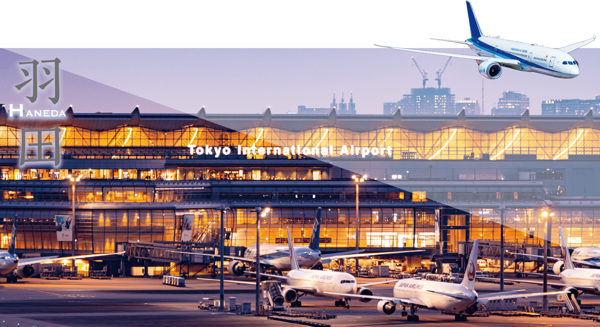 日本最大、国際的なハブ空港。