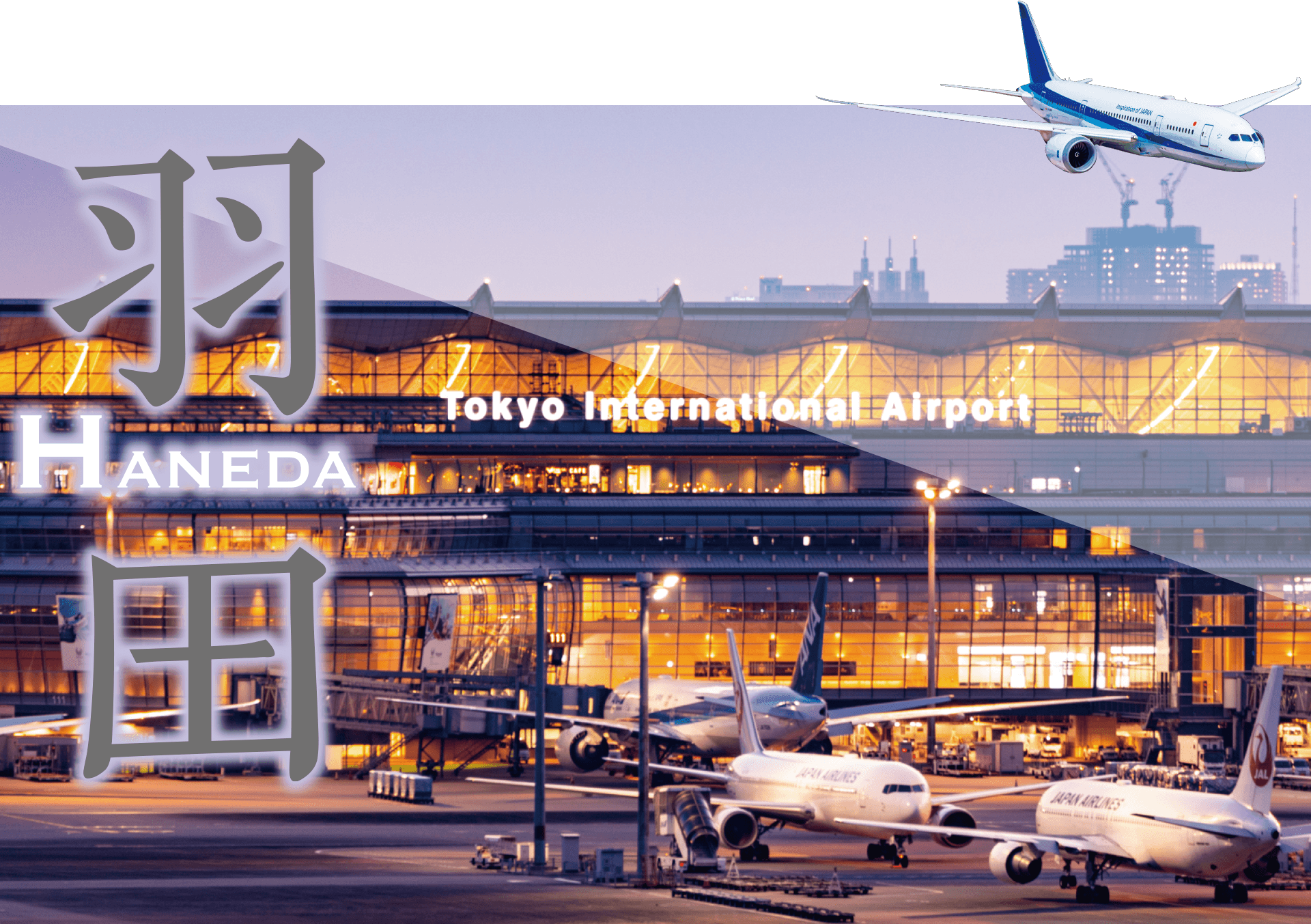 日本最大、国際的なハブ空港。