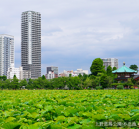 上野（6min）
