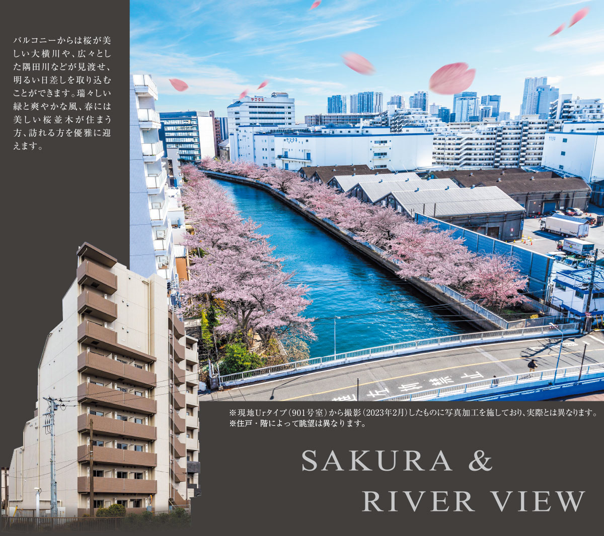 SAKURA & RIVER VIEW