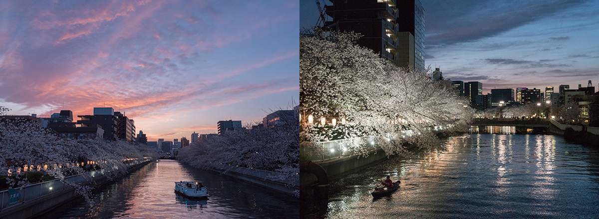大横川 大横川