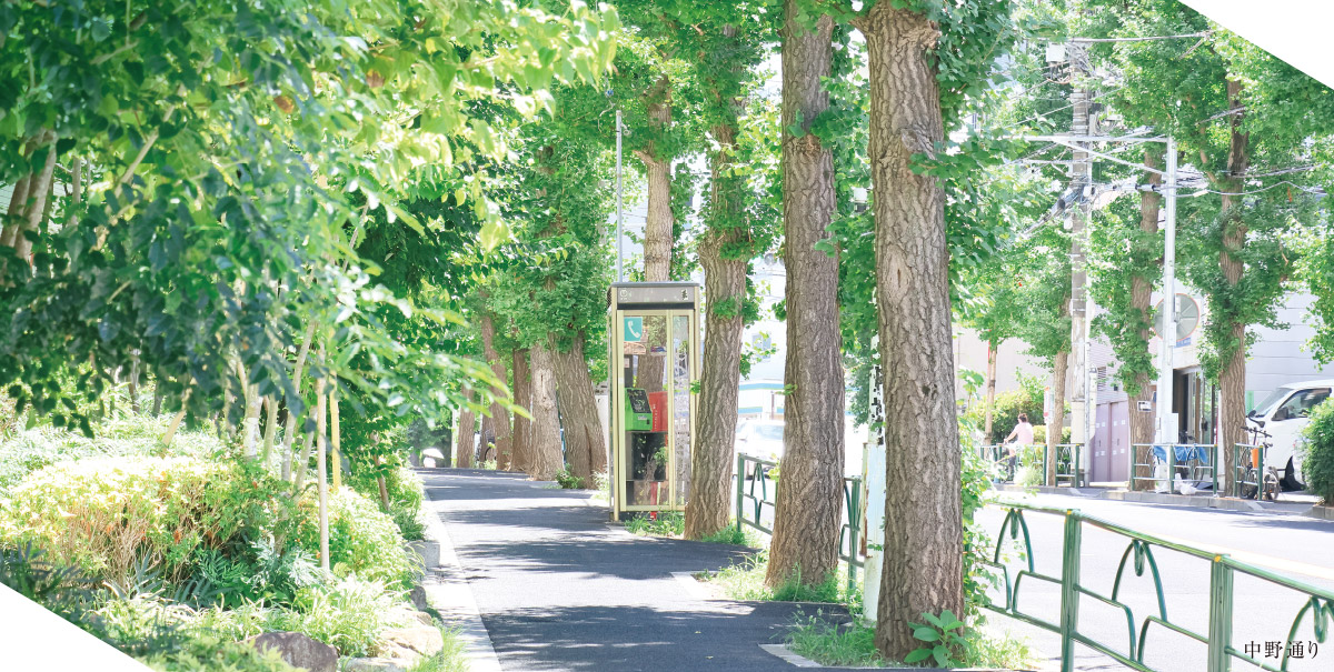 富士見町　背景
