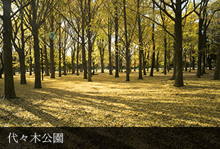 代々木公園風景