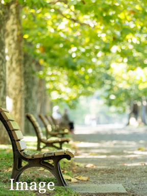 PARK