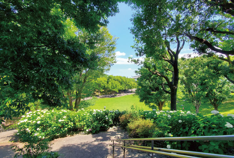 東永田公園